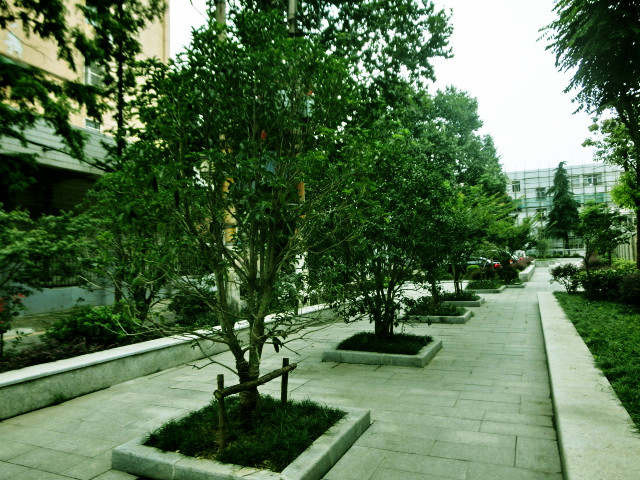 南京屋顶花园,南京立体绿化,南京园林绿化,南京园林工程,南京园林绿化施工